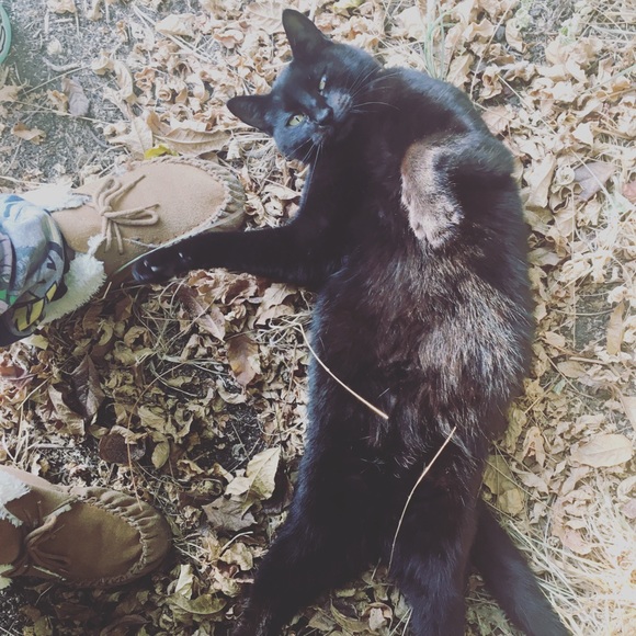 Meet your Posher, Elisa - Picture 1 of 2